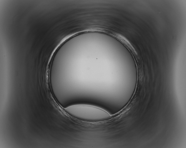 X0000086961292200704161115