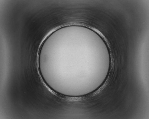 X0000086961294200704161115