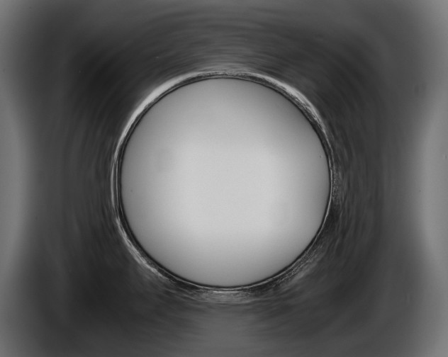 X0000086961295200704161115
