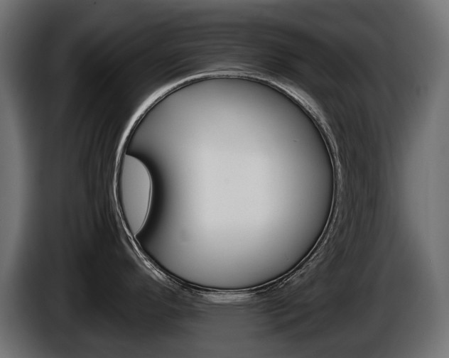 X0000086961296200704161115