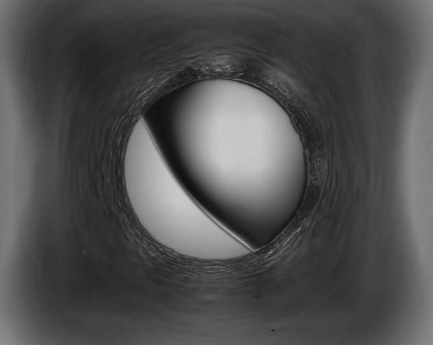 X0000086961297200704161115