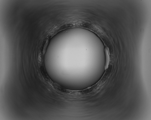 X0000086961298200704161115