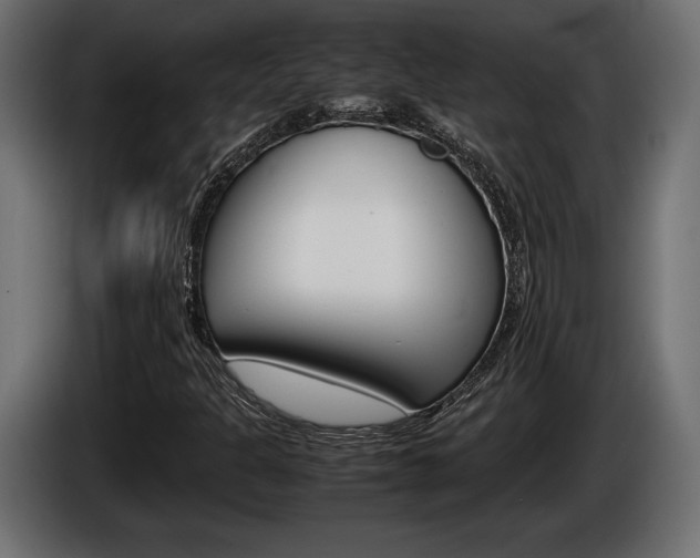 X0000086961301200704161115