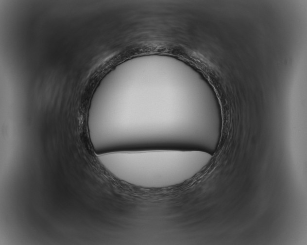 X0000086961302200704161115