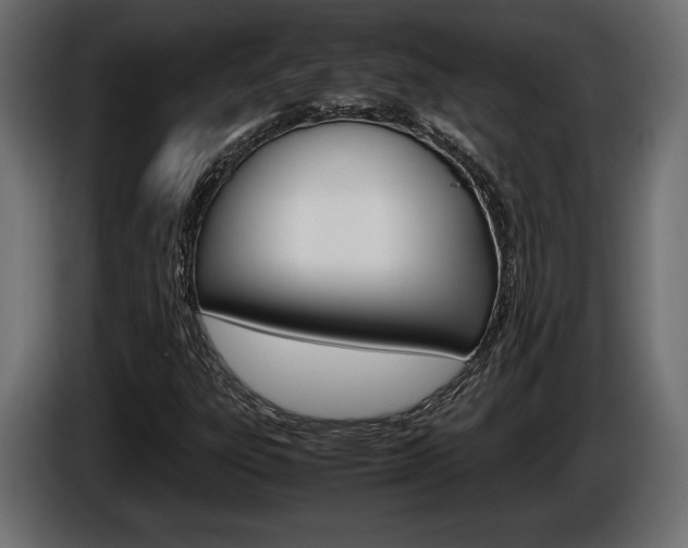X0000086961303200704161115