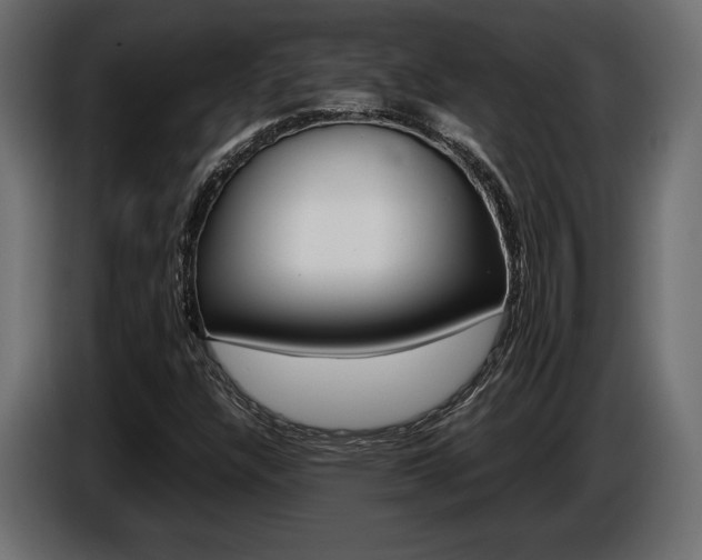 X0000086961304200704161115