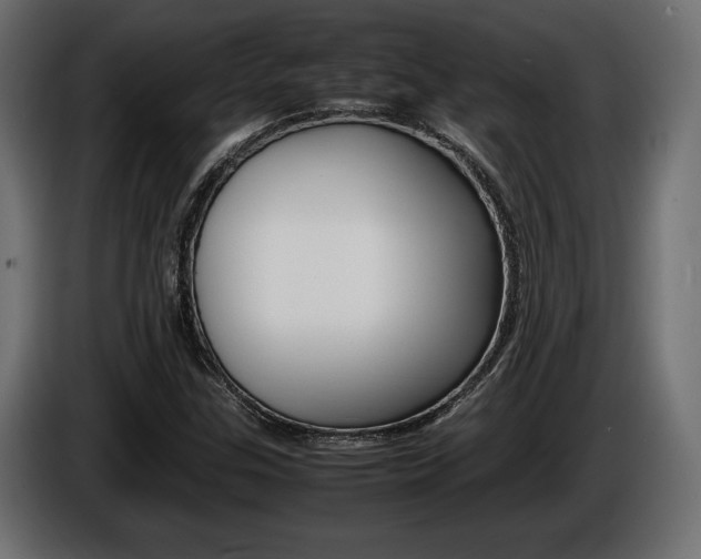 X0000086961307200704161115