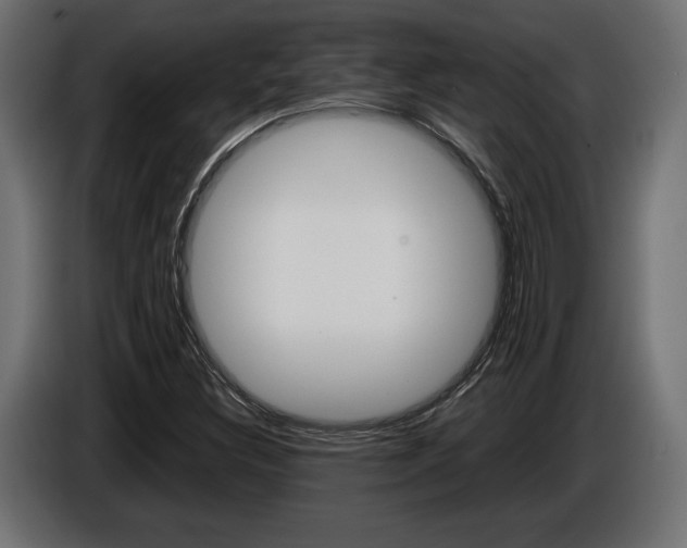 X0000086961308200704161115