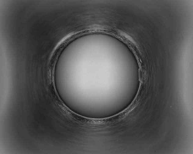 X0000086961310200704161115