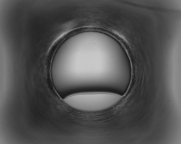 X0000086961311200704161115