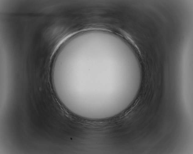 X0000086961312200704161115