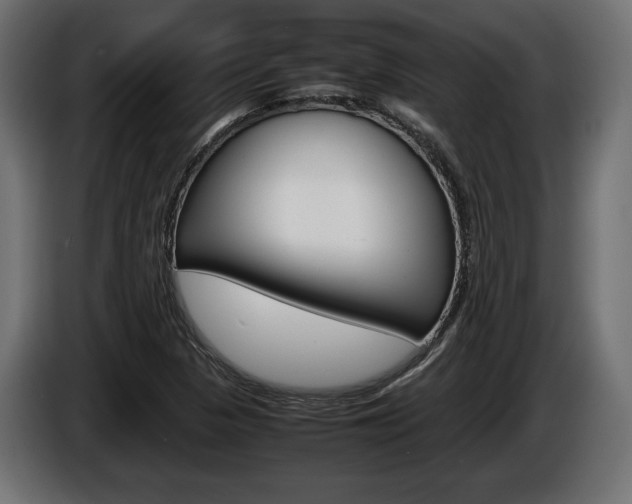 X0000086961313200704161115