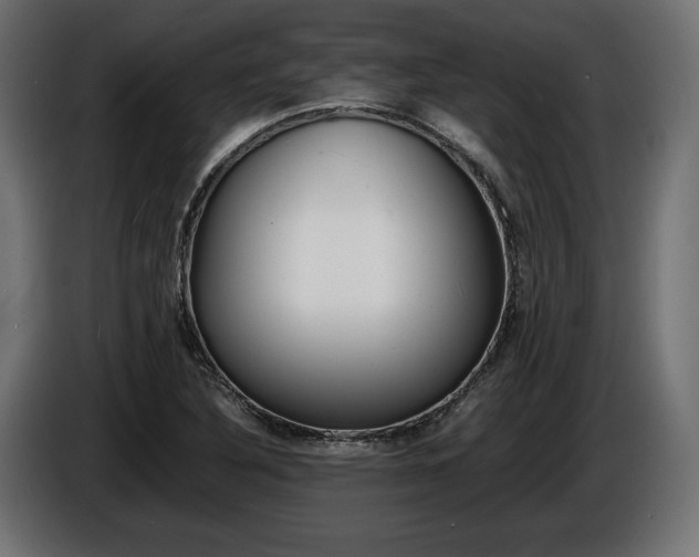 X0000086961316200704161115