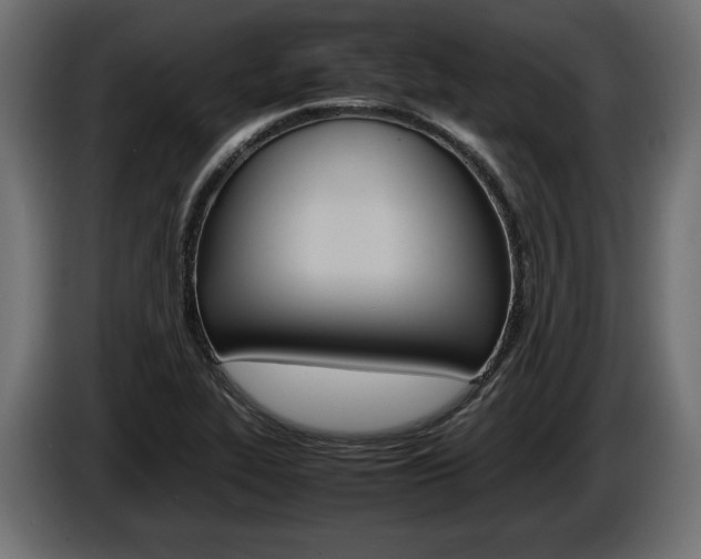 X0000086961319200704161115
