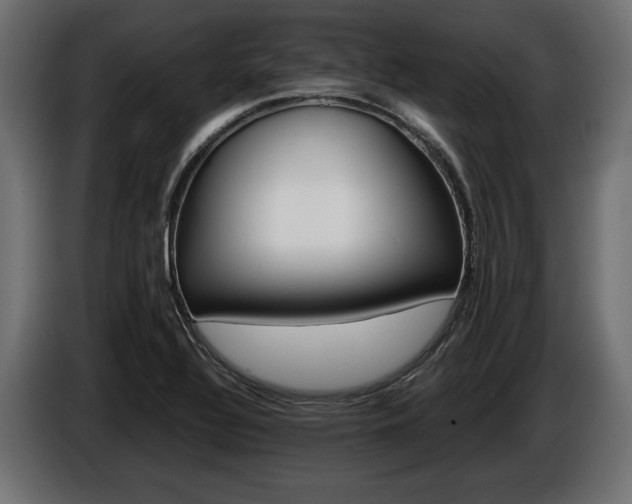 X0000086961320200704161115