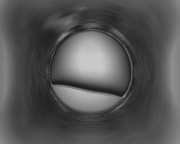 X0000086961321200704161115