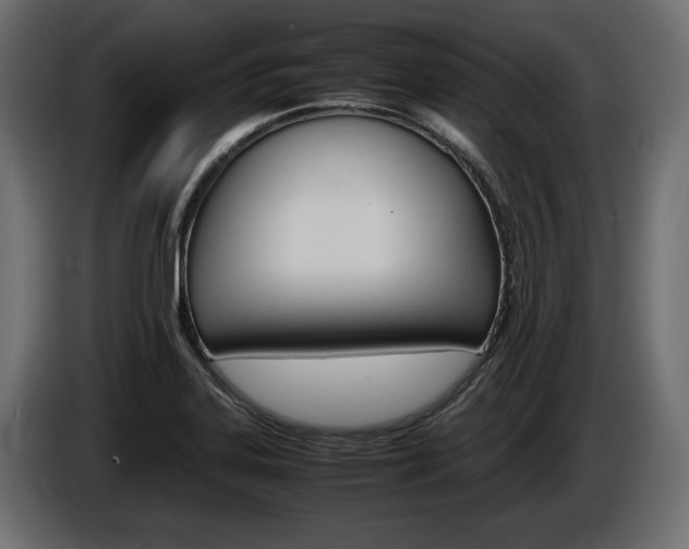X0000086961323200704161115