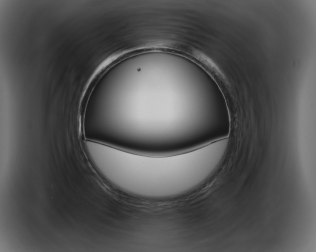 X0000086961324200704161115