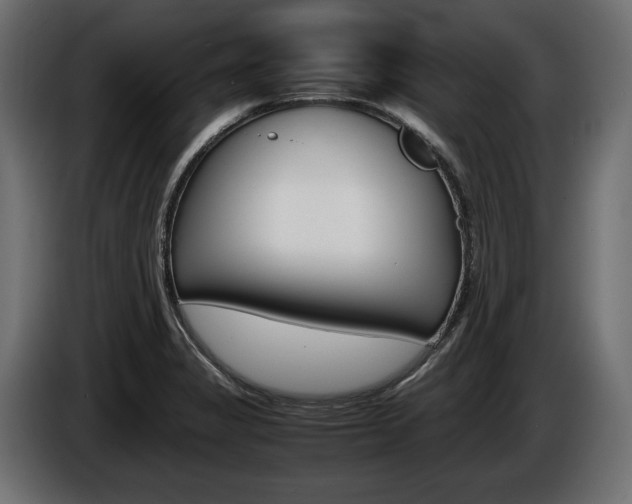 X0000086961325200704161115