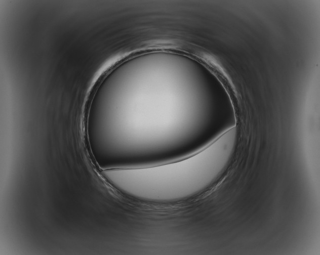 X0000086961328200704161115