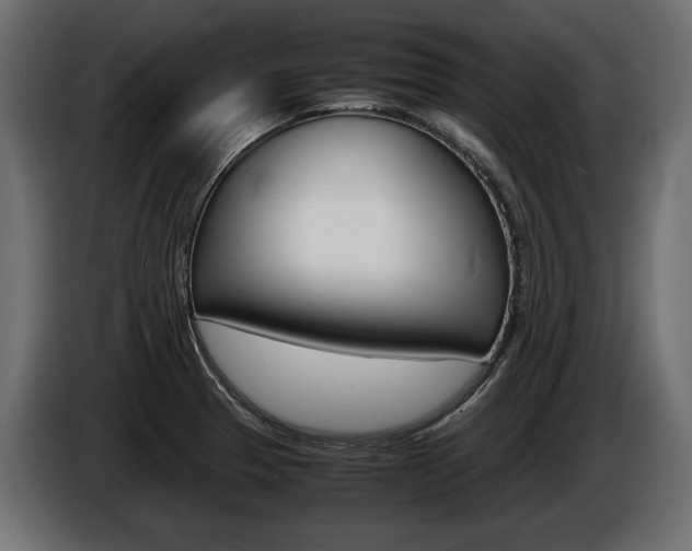 X0000086961329200704161115