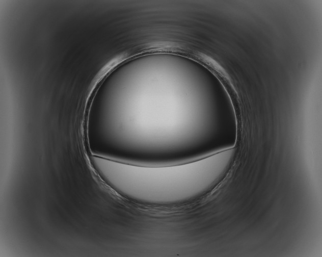 X0000086961330200704161115