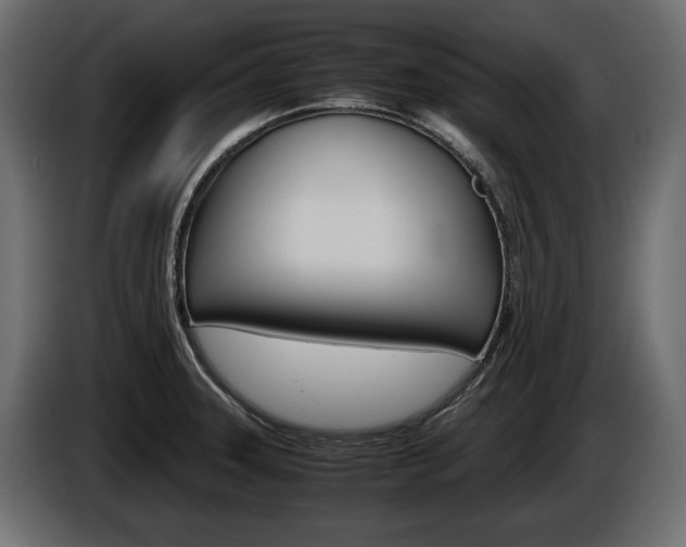 X0000086961331200704161115