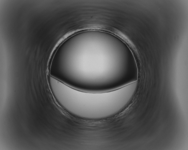 X0000086961332200704161115