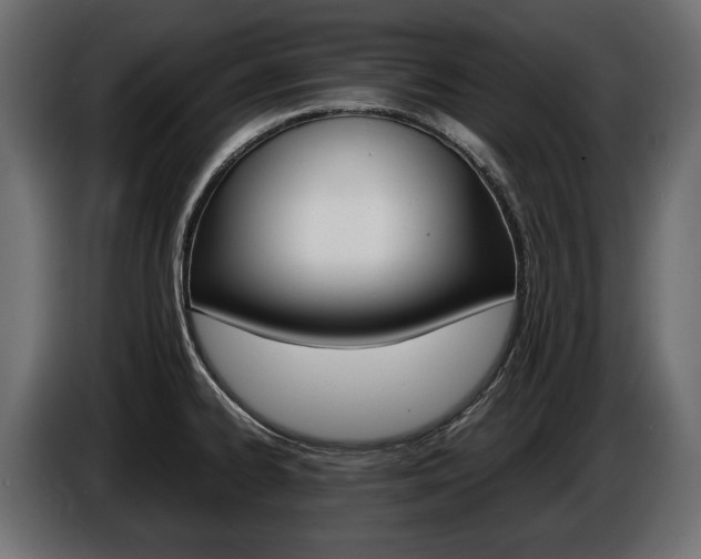 X0000086961334200704161115
