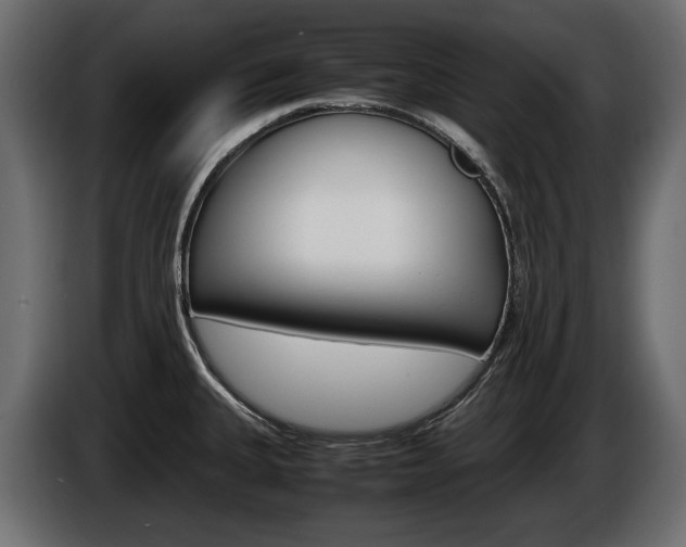 X0000086961335200704161115