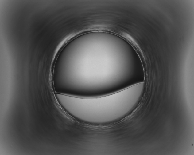 X0000086961336200704161115