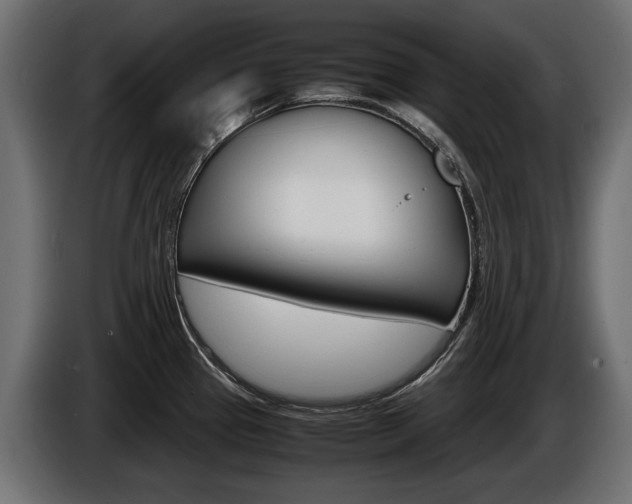 X0000086961337200704161115