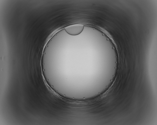 X0000086961338200704161115