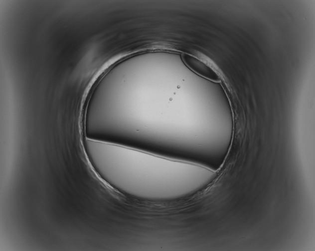 X0000086961339200704161115