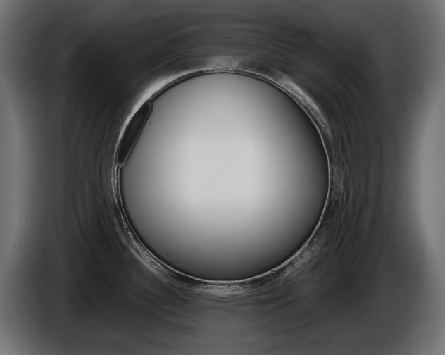 X0000086961340200704161115
