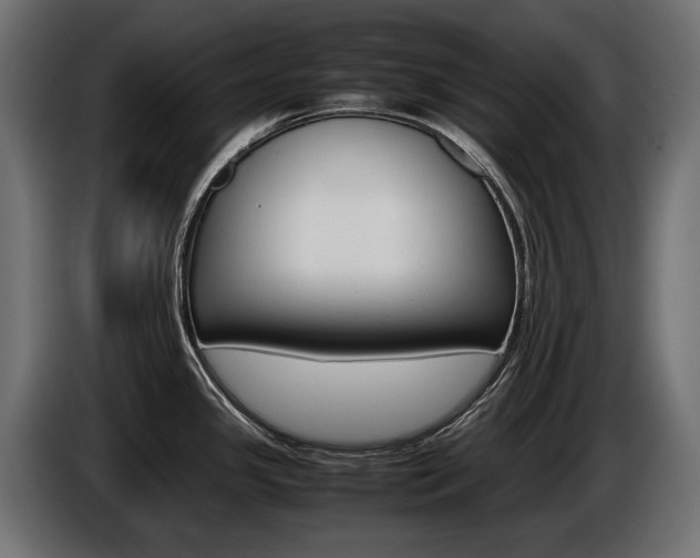 X0000086961341200704161115