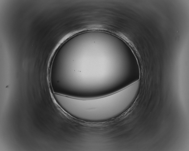 X0000086961342200704161115