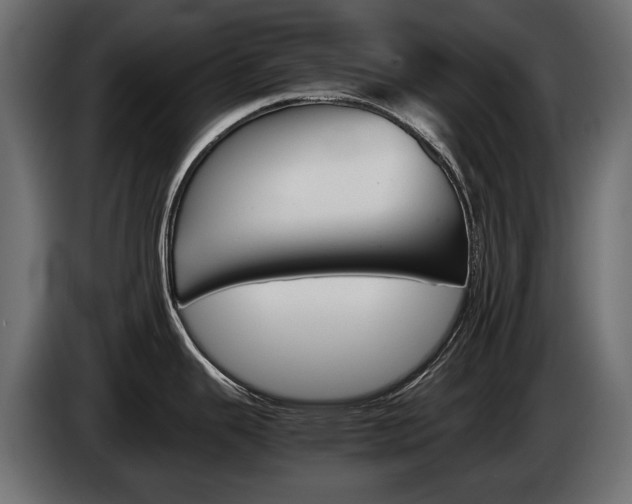 X0000086961343200704161115
