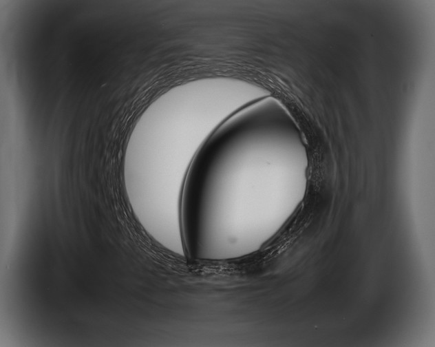 X0000086961345200704161115