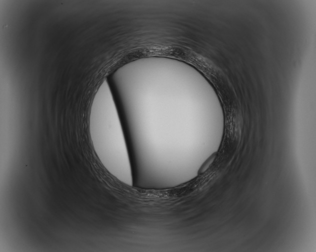 X0000086961346200704161115