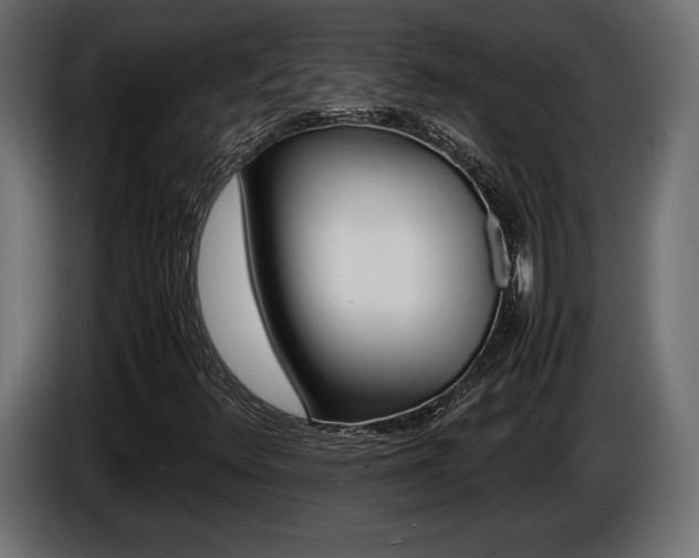 X0000086961348200704161115
