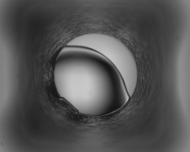 X0000086961349200704161115