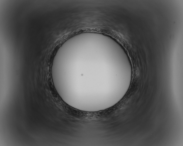 X0000086961350200704161115