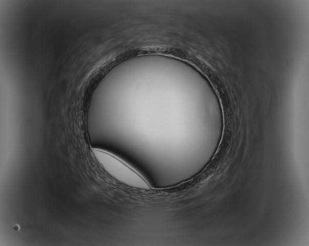 X0000086961351200704161114