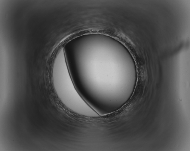 X0000086961352200704161114
