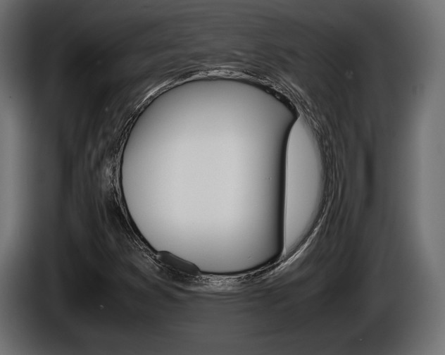 X0000086961353200704161114