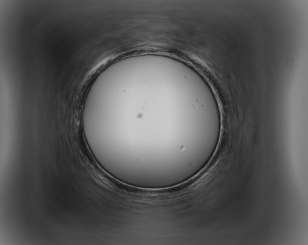 X0000086961355200704161114