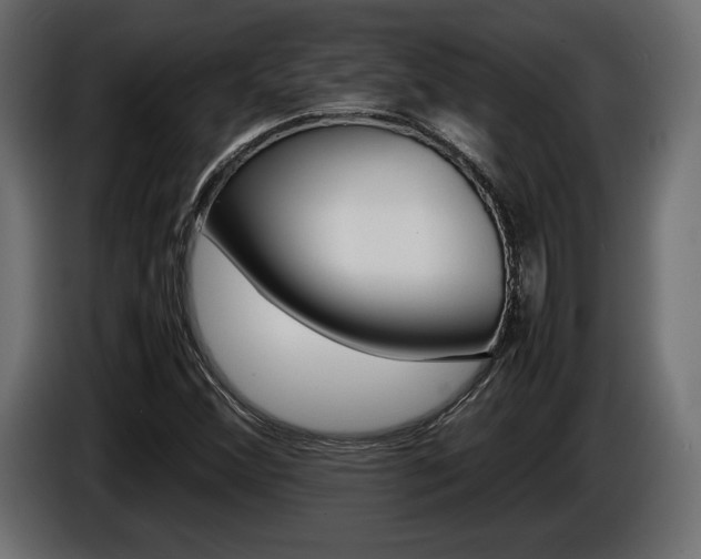 X0000086961356200704161114