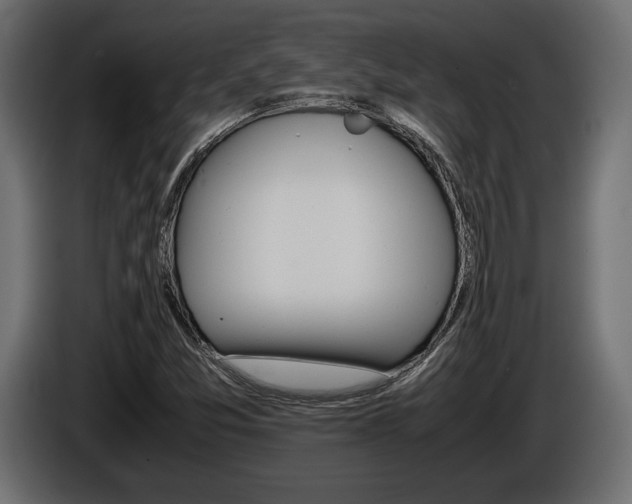 X0000086961357200704161114