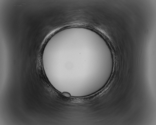 X0000086961358200704161114